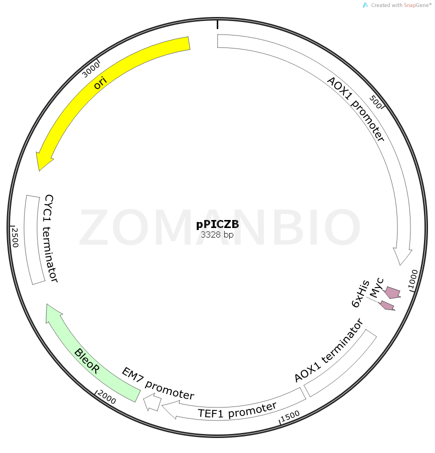 ZK924pPICZB.png