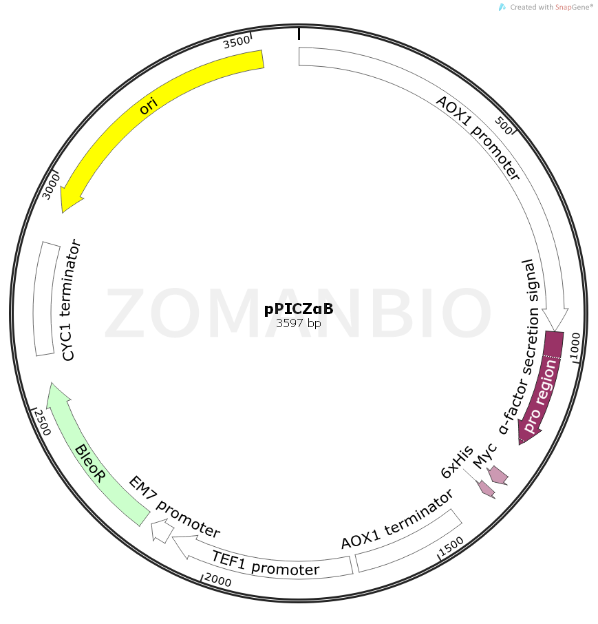 ZK926pPICZαB.png