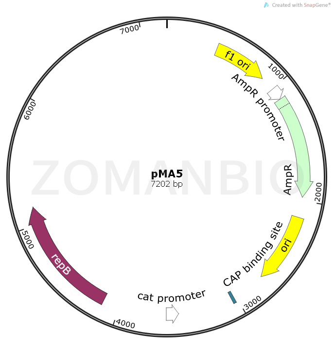 ZK1014pMA5.png
