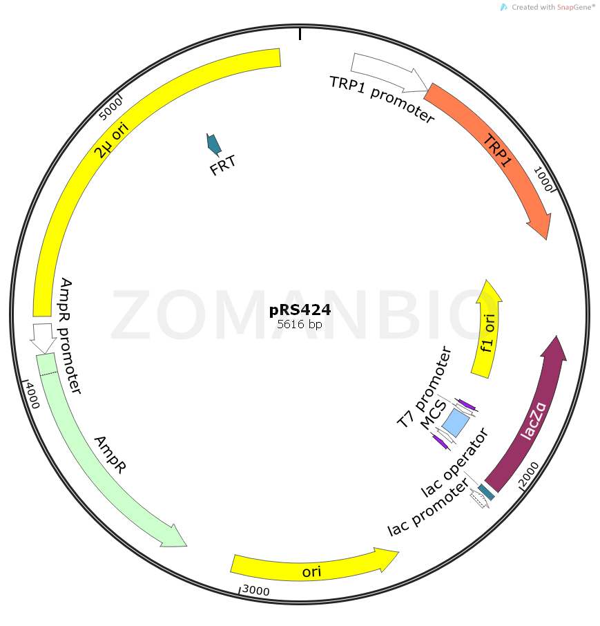 ZK961pRS424.png