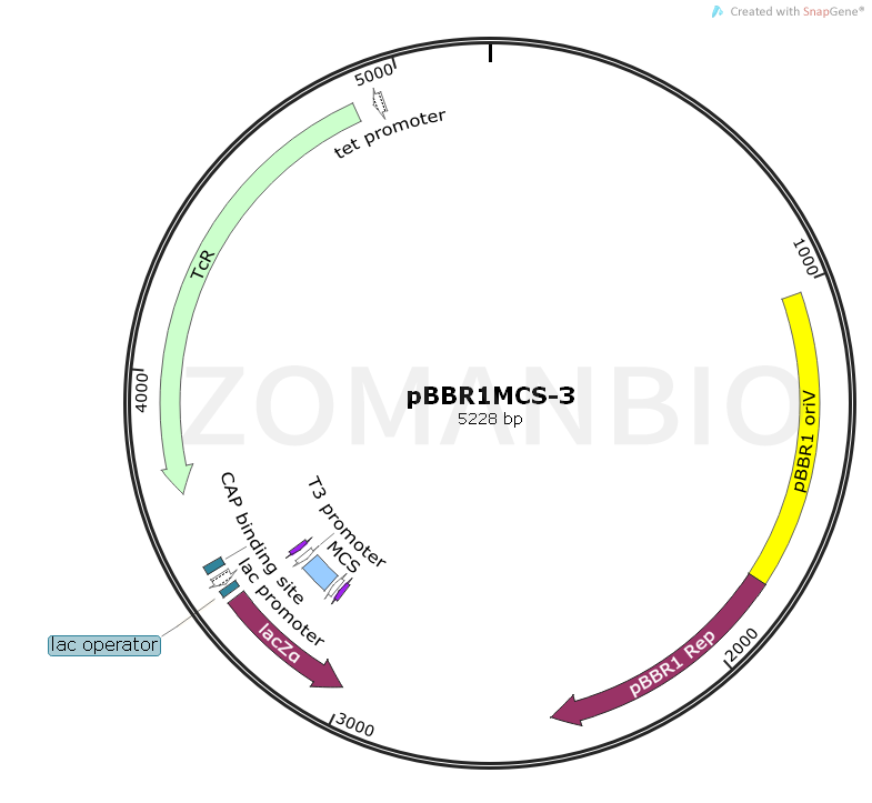 ZK1111pBBR1MCS-3.png