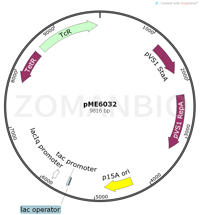 ZK1126pME6032.png